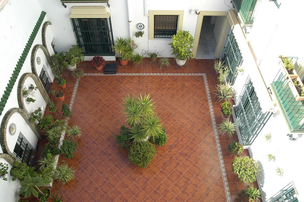 Apartamento Los Olivos Jerez 헤레스 객실 사진